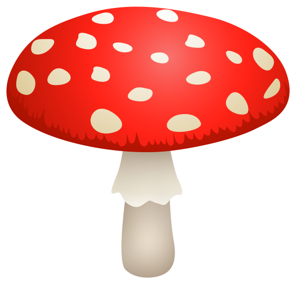 Мухомор без фона