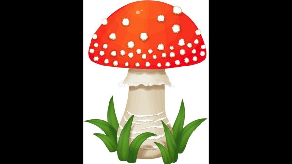 Мухомор для детей