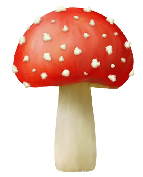 Гриб мухомор