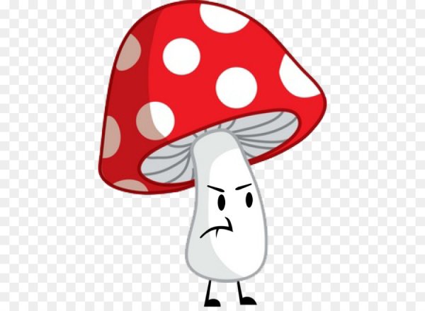 Мухомор для детей