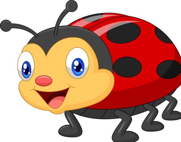 Божаякоробка для детей