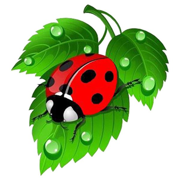 Алмазная мозаика Божья коровка