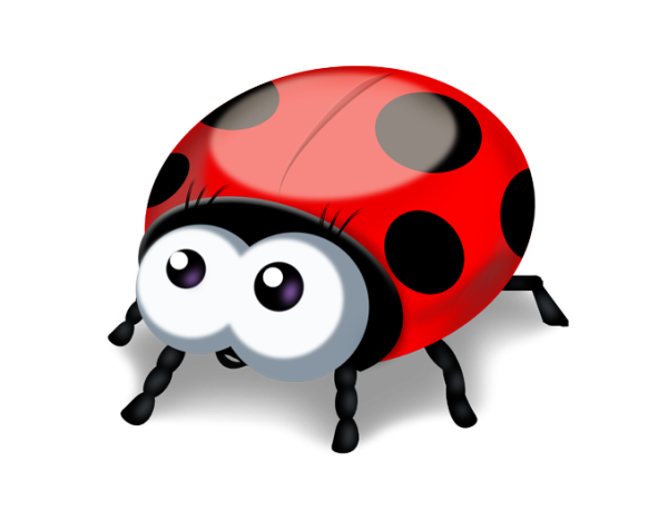 Божья коровка на белом фоне