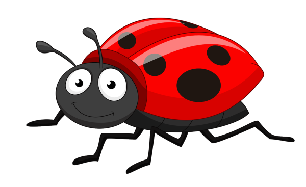 Божья коровка для детей