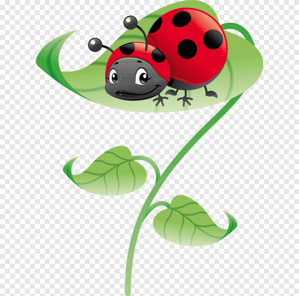 Божья коровка для детей