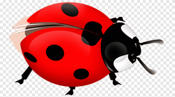 Божаякоробка для детей