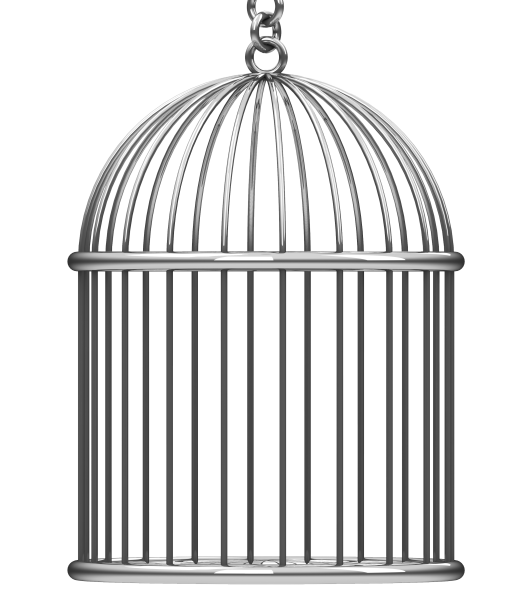 Клетка на прозрачном фоне нарисованная