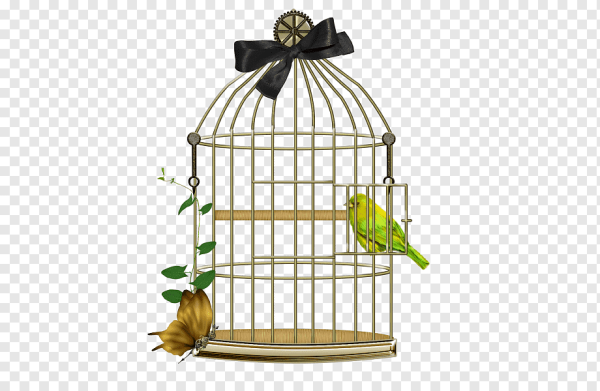 Птичья клетка