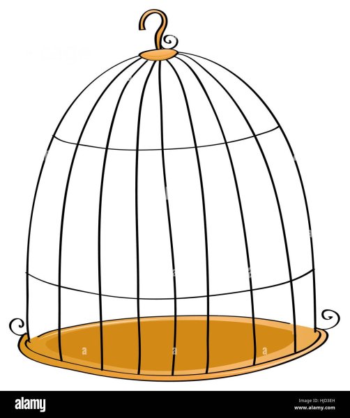 Мультяшная клетка для попугая