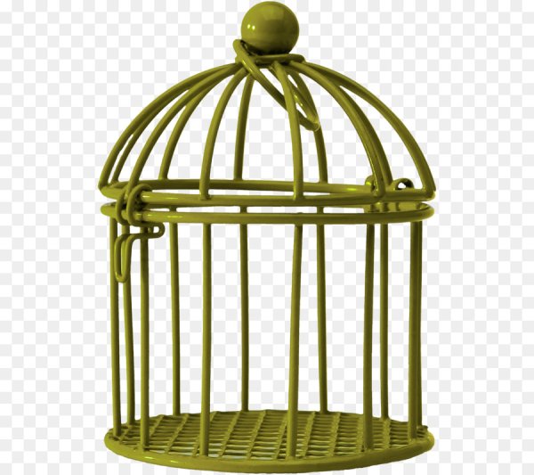 Клетка без фона