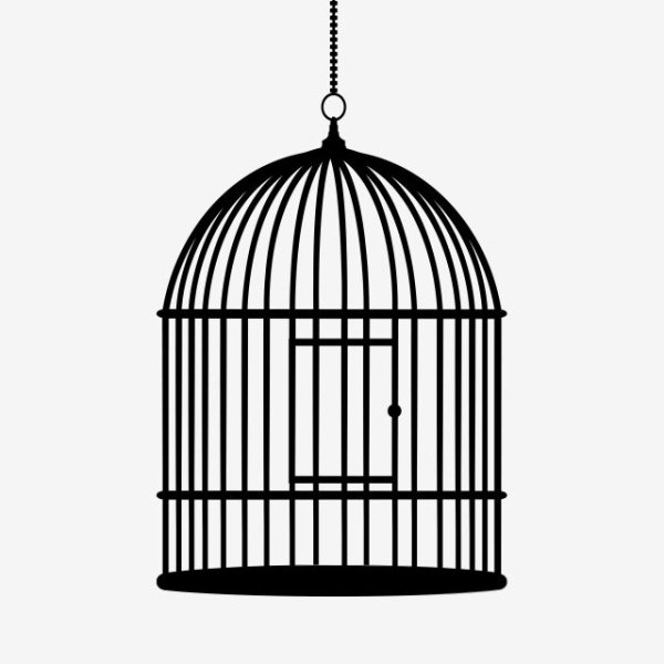 Клетка для птиц без фона