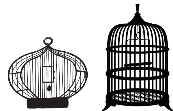 Птичья клетка