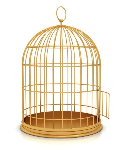 Птица в золотой клетке