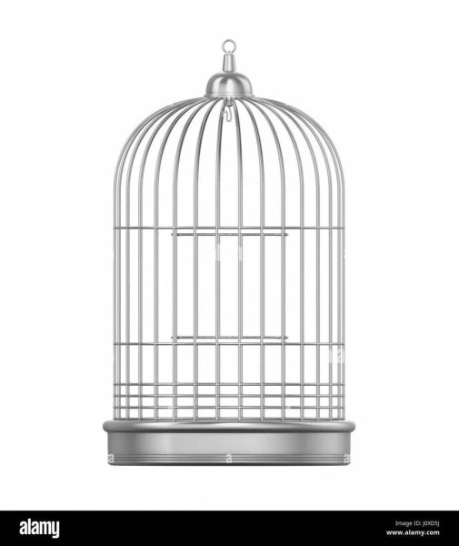 Пустые клетки