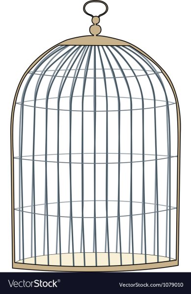 Cage рисунок-раскраска для детей