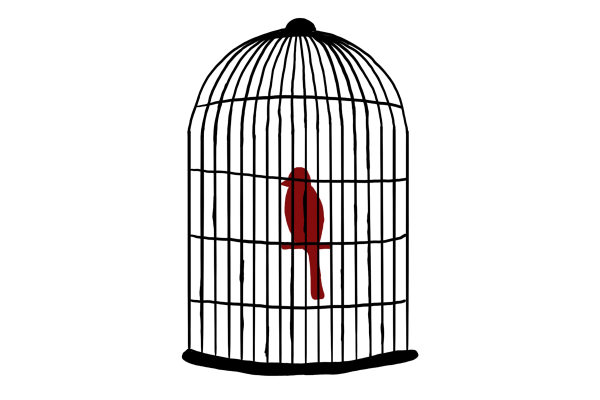 Птица в клетке