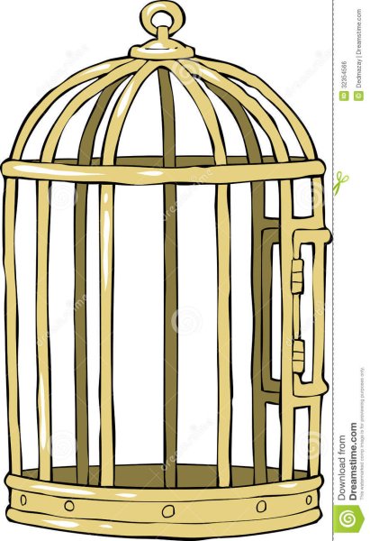 Нарисовать в клетку