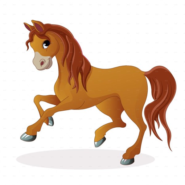 Лошадь на белом фоне