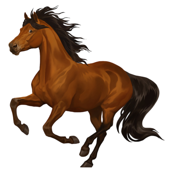 Лошадь на белом фоне