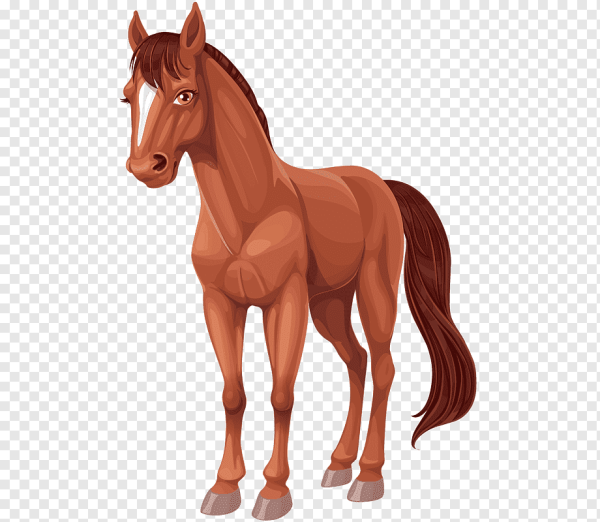 Лошадь на прозрачном фоне