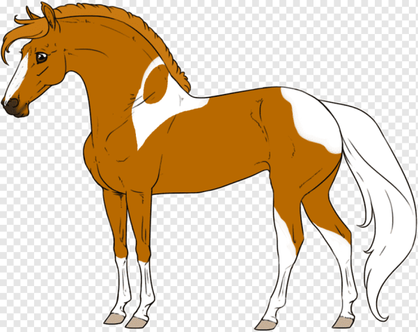 Лошадка иллюстрация