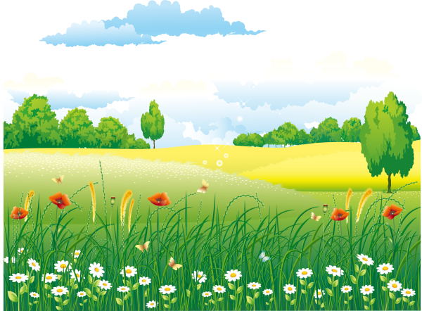 Мультяшная Поляна