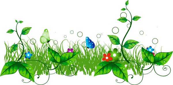 Трава с цветами на прозрачном фоне