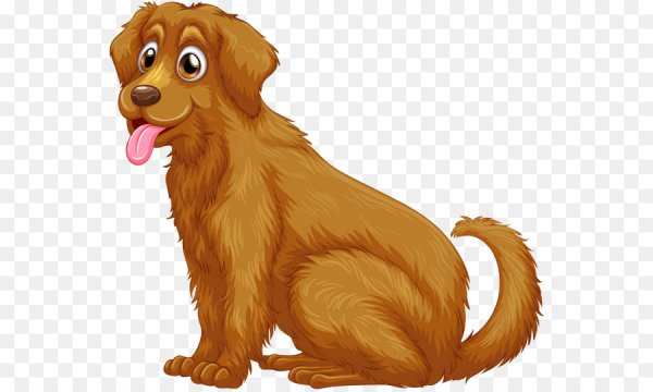 Собака на прозрачном фоне