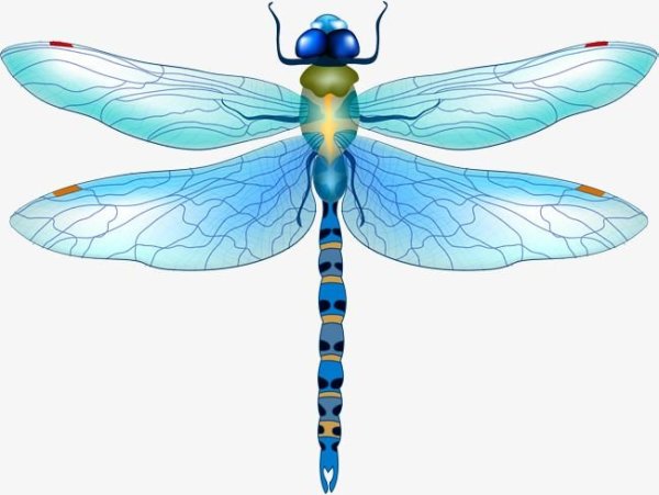 Стрекоза для детей