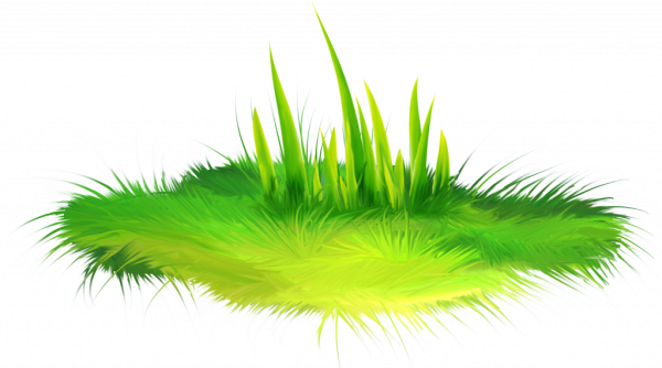 Трава рисунок
