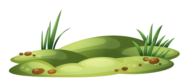 Болото на прозрачном фоне