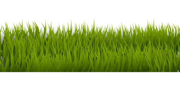 Трава мультяшная