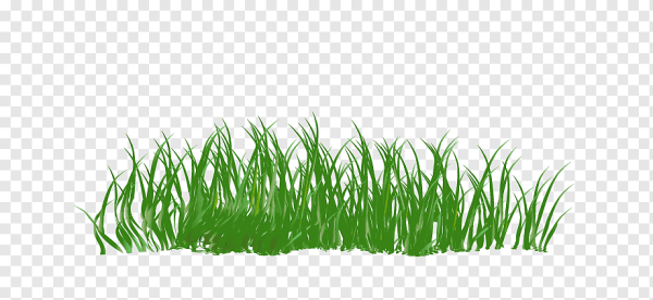 Травка из мультика