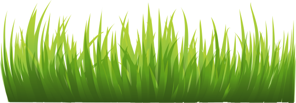 Трава вектор