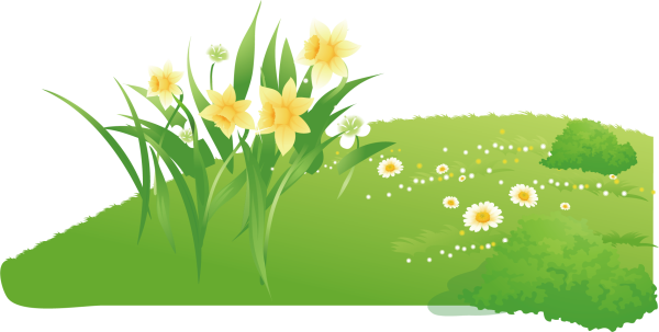 Трава с цветами вектор