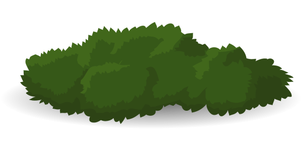 Куст на прозрачном фоне