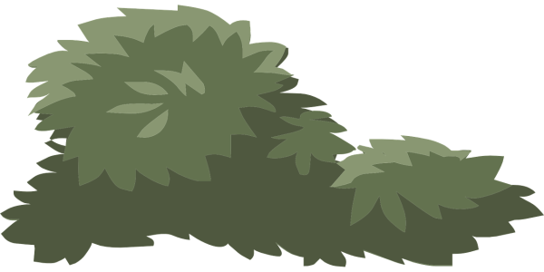 Куст иллюстрация