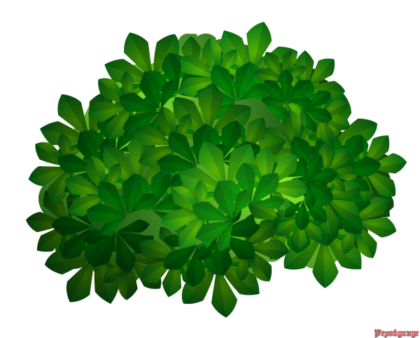 Кусты мультяшные