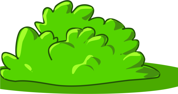 Куст рисунок