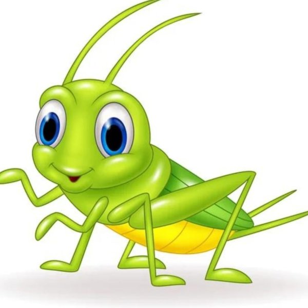 Мультяшные насекомые