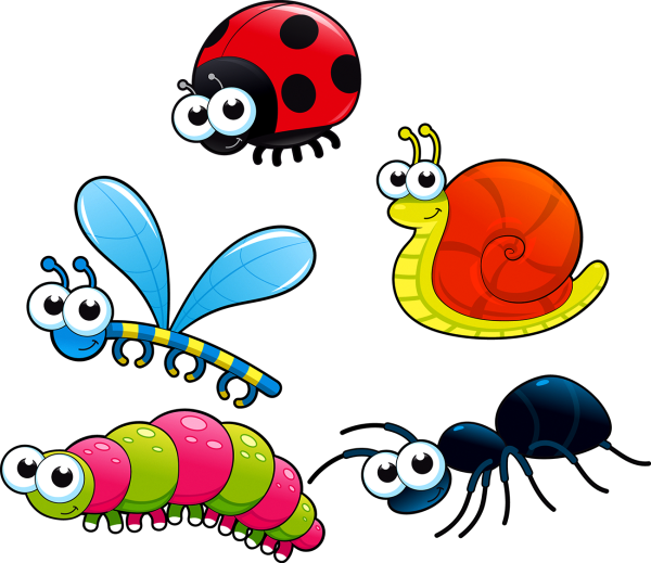 Насекомые для детей