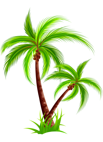 Пальма на прозрачном фоне