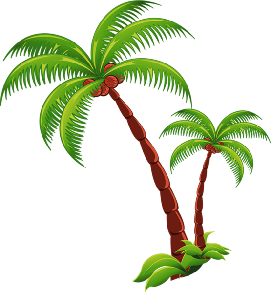 Пальма на прозрачном фоне