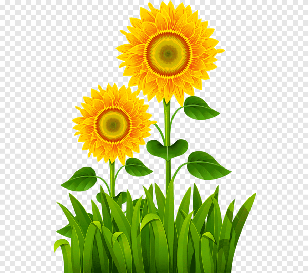 Векторный подсолнух