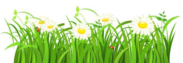 Травка с цветочками