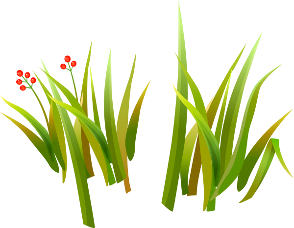 Трава нарисованная