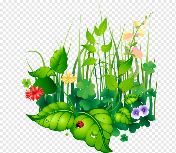 Сказочная трава