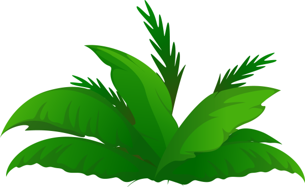 Тропические кусты вектор