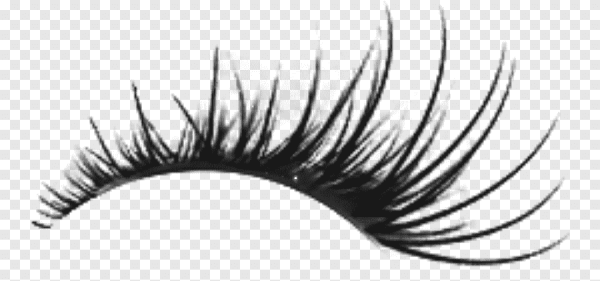Ресницы на белом фоне