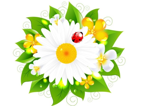 Ромашка для детей